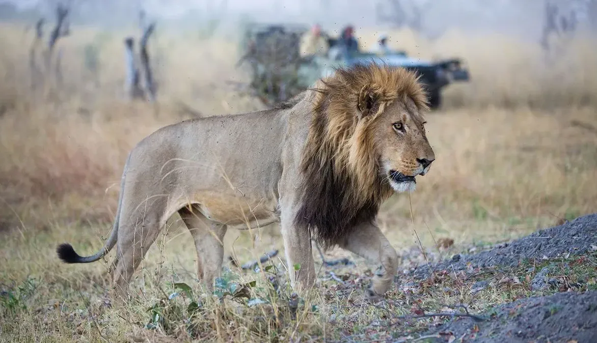 Namibia +/- Botswana advice - both or just one?